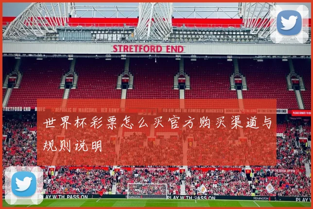 世界杯彩票怎么买官方购买渠道与规则说明