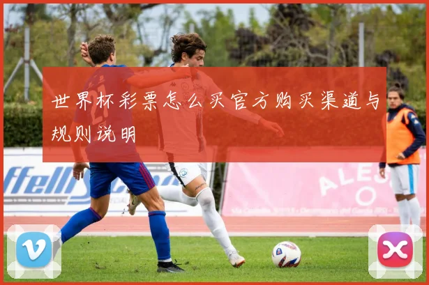 世界杯彩票怎么买官方购买渠道与规则说明