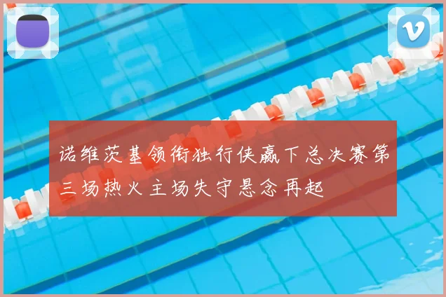 诺维茨基领衔独行侠赢下总决赛第三场热火主场失守悬念再起
