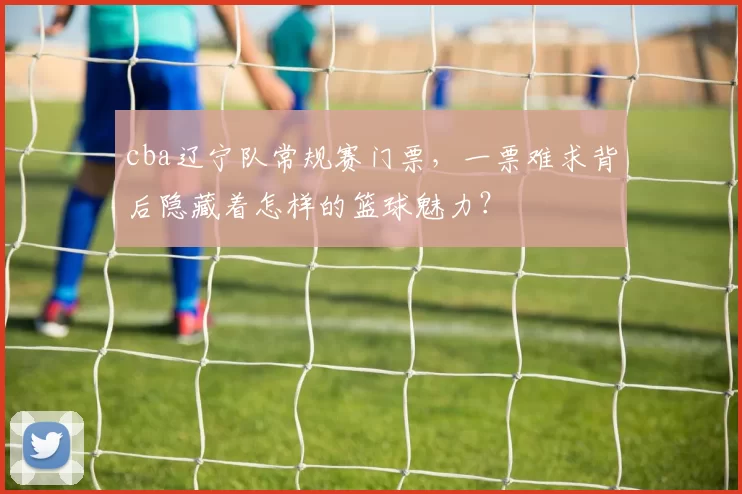 cba辽宁队常规赛门票，一票难求背后隐藏着怎样的篮球魅力？