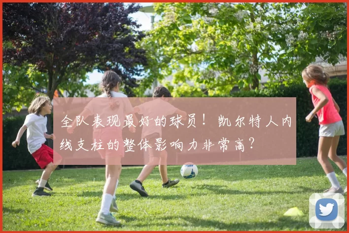 全队表现最好的球员！凯尔特人内线支柱的整体影响力非常高？